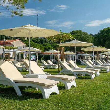 Hotel Park